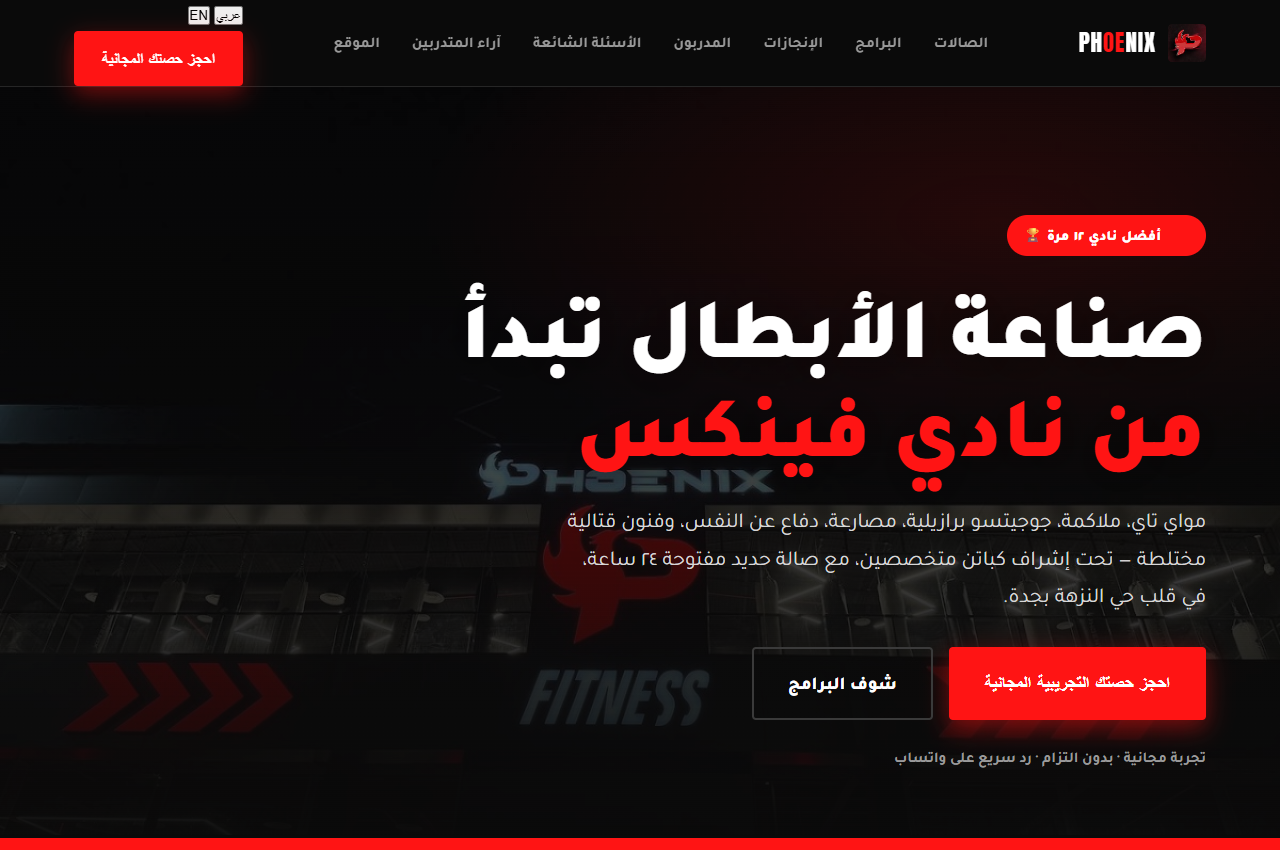 Phoenix MMA Website Interface